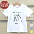 子供の笑顔を引き出す！変顔猫のTシャツ