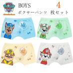 パウパトロールの可愛いボクサーパンツで快適な毎日を！