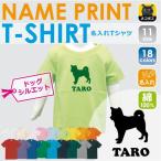 柴犬好き必見！名入れ可能なキッズ半袖Tシャツでオリジナルスタイルを楽しもう