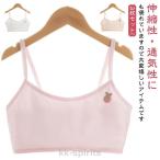 キッズ向けの快適さ！3枚セットのハーフトップブラ