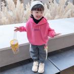 春秋にぴったり！快適でおしゃれなキッズトレーナー