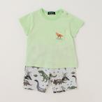 恐竜好き必見！クレードスコープの渋かわセットアップでおしゃれを楽しもう