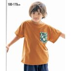 夏の必需品！スタイリッシュな子供用Tシャツ登場