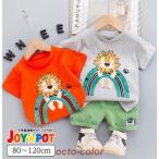 ライオンデザインが可愛い！キッズ ベビー服セットアップで夏のおしゃれを楽しもう