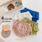 赤ちゃんの可愛さを引き立てる！魅力たっぷりのブルマパンツ