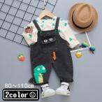 恐竜デザインでおしゃれ＆快適！ベビー・キッズ向け上下セット