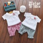 かわいさ満点！ベビーガールのフリルセットアップ