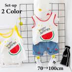 夏のベビーコーデにぴったり！スイカプリントが可愛い上下セット