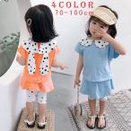 かわいさ満点！ウサギの耳がチャーミングなベビー服セット