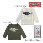 驚きの半額！トリケラトプスTシャツで恐竜の世界へ！