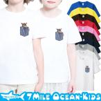 人気ブランド7MILE OCEANの子供用半袖Tシャツが新登場！