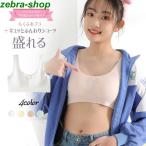 快適＆美しい！四季適用インナーで叶える理想の着心地